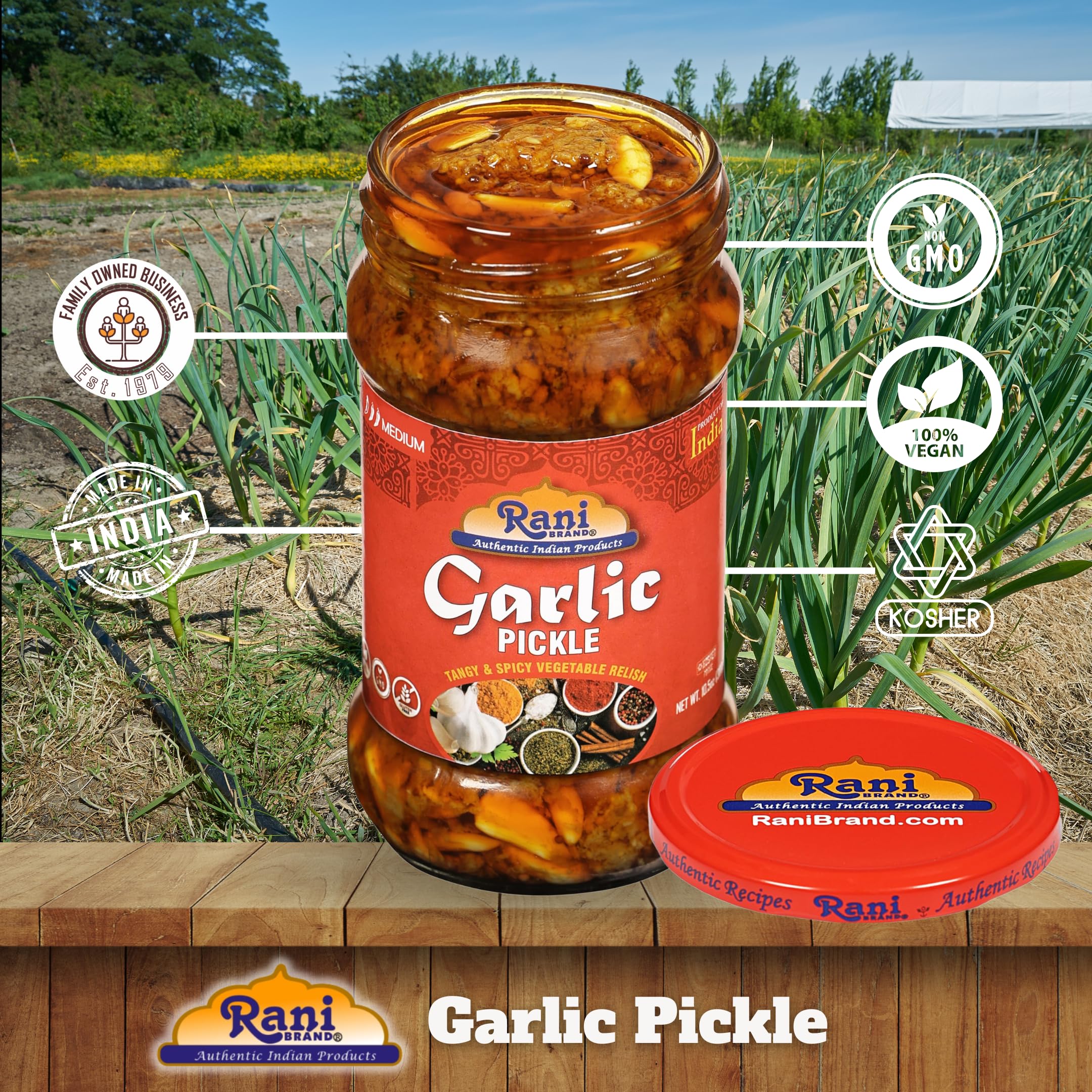 Rani Garlic Pickle Mild (Achar, Spicy Indian Relish) 10.5oz (300g) ~ Glass Jar, All Natural | Vegan | Gluten Free | NON-GMO | Kosher | No Color | Indian Origin - Image 4