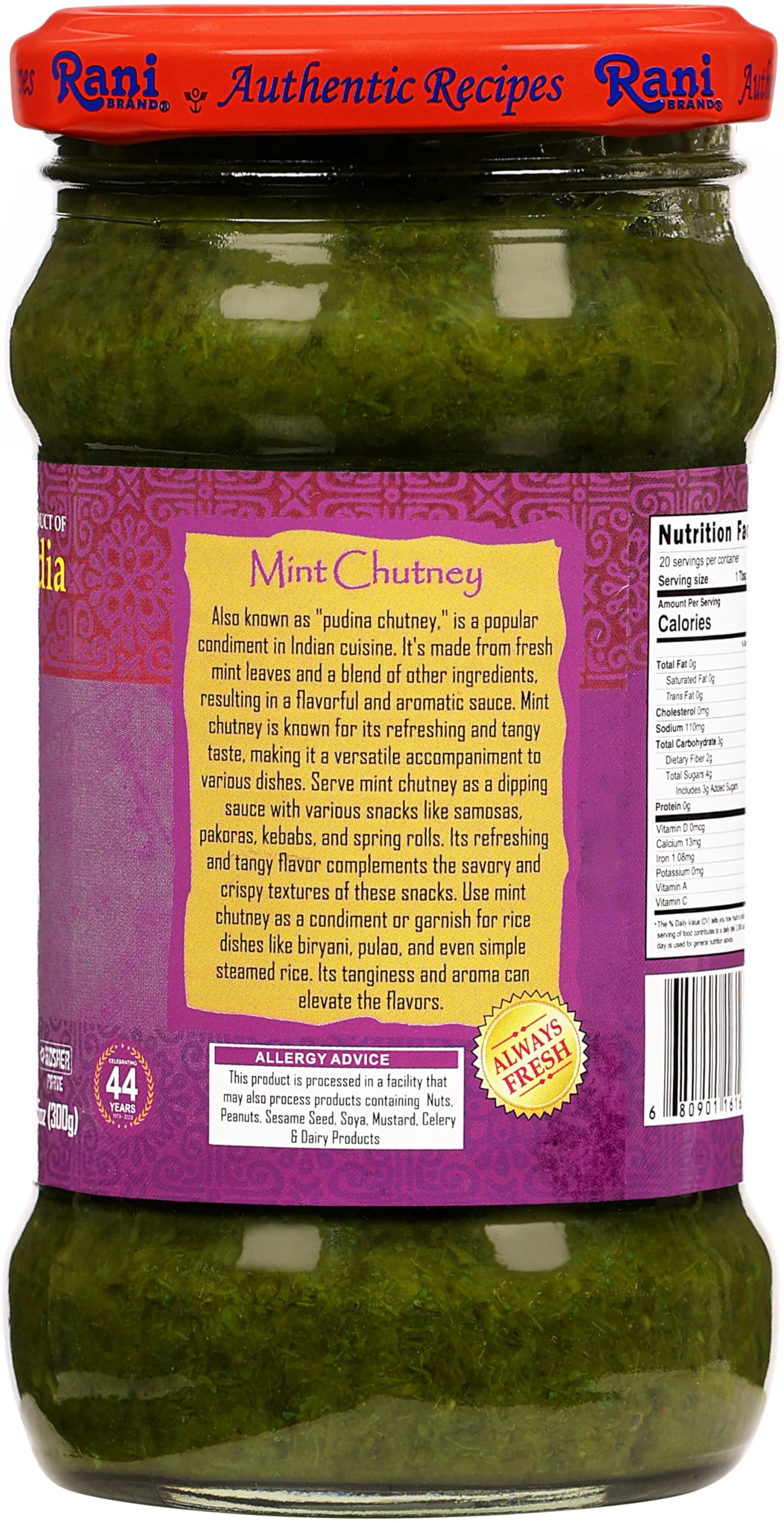 Rani Mint Chutney (Podina) 10.5oz (300g) Glass Jar, Ready to Eat ~ Vegan | Gluten Free | NON-GMO | Kosher | No Colors | Indian Origin - Image 6