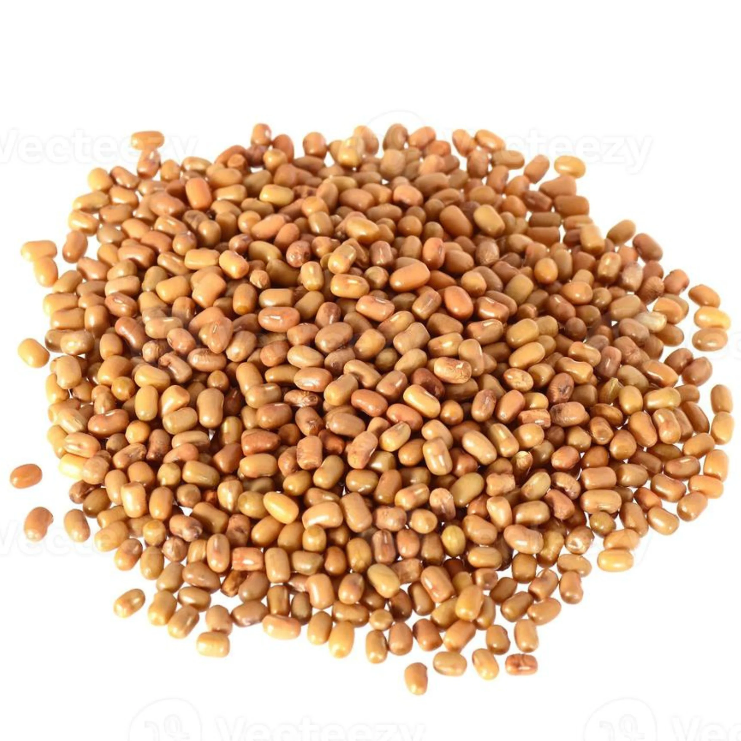 Rani Moth Beans Whole 400oz (25lbs) 11.36kg Bulk Box ~ All Natural | Gluten Friendly | Non-GMO | Vegan | Indian Origin - Image 7