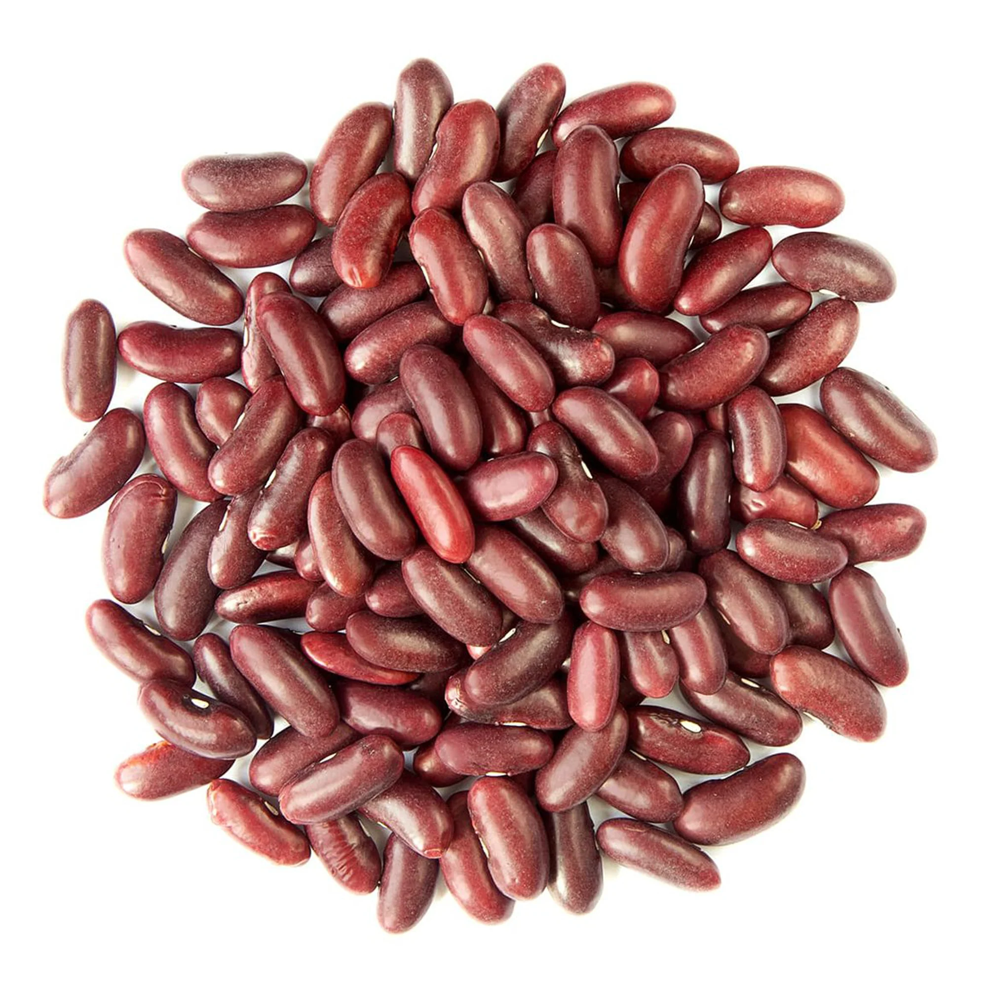 Rani Red Kidney Beans, Dark 400oz (25lbs) 11.36kg Bulk Box ~ All Natural | Vegan | Gluten Friendly | NON-GMO | Raj Mah - Image 7