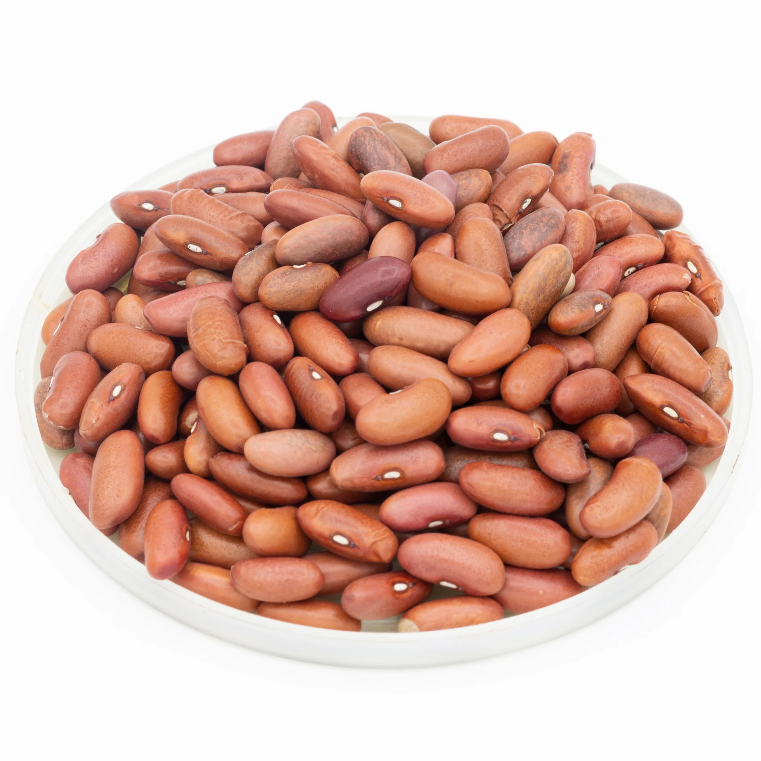 Rani Red Kidney Beans, Light 400oz (25lbs) 11.36kg Bulk Box ~ All Natural | Vegan | Gluten Friendly | NON-GMO | Raj Mah - Image 7