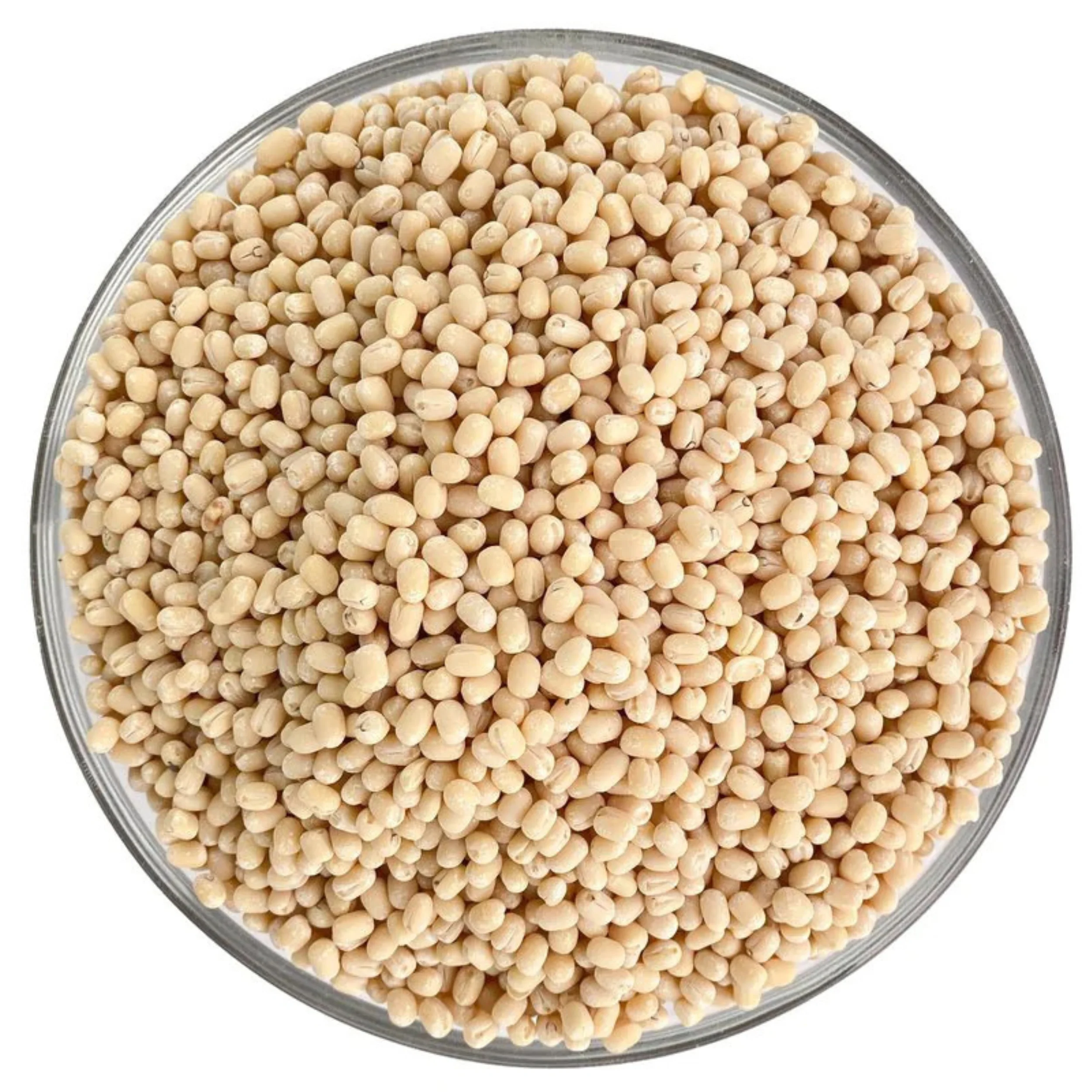 Rani Urid/Urad Gota White (Matpe Beans Skinless) Indian Lentils 400oz (25lbs) 11.36kg Bulk Box ~ All Natural | Gluten Friendly | NON-GMO | Vegan | Indian Origin - Image 7